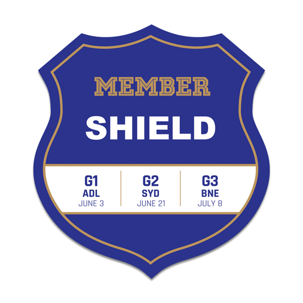 100 x 93mm Shield Shaped Magnet