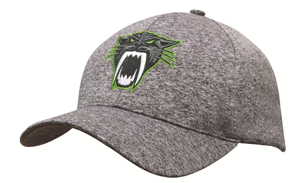 6Pnl Cationic Sports Jersey Cap