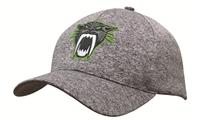 6Pnl Cationic Sports Jersey Cap